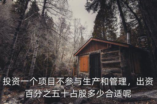 投資一個項目不參與生產和管理，出資百分之五十占股多少合適呢