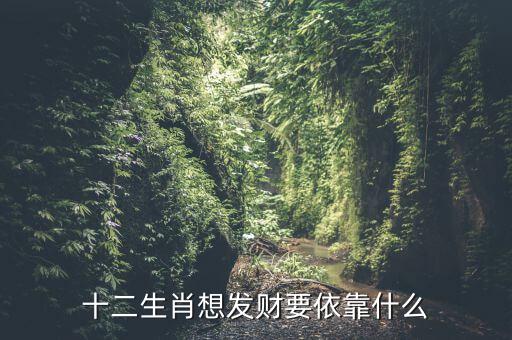 發財要什么性格,十二生肖想發財要依靠什么