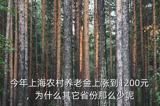 今年上海農村養老金上漲到1200元，為什么其它省份那么少呢