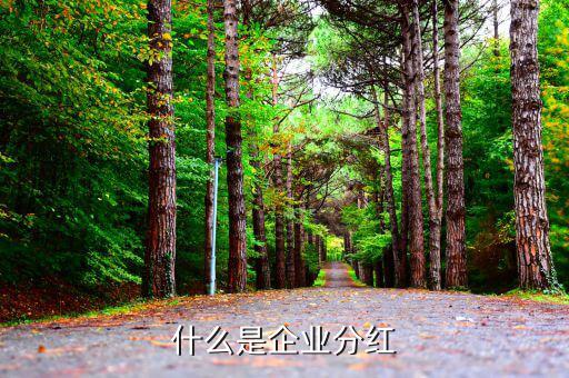 企業為什么分紅,什么是企業分紅