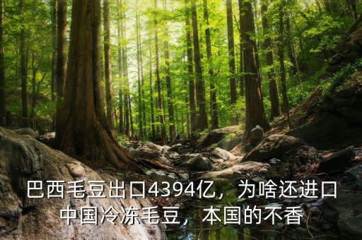 巴西毛豆出口4394億，為啥還進口中國冷凍毛豆，本國的不香