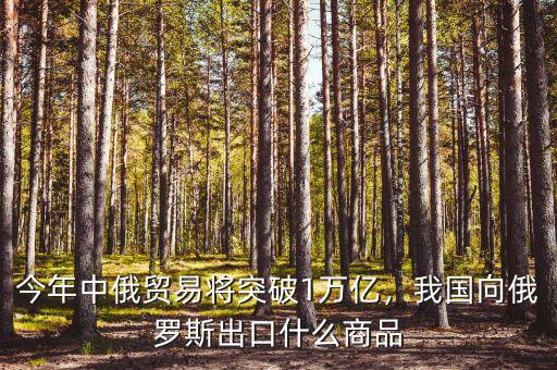 今年中俄貿易將突破1萬億，我國向俄羅斯出口什么商品