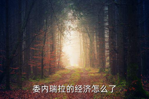 委內瑞拉經濟怎么樣,委內瑞拉石油儲量世界第一