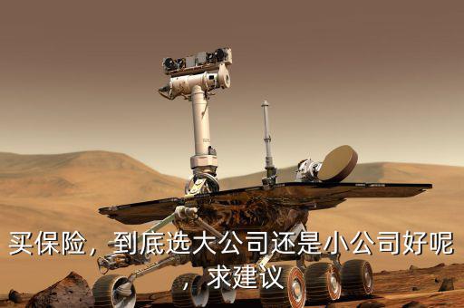 買保險，到底選大公司還是小公司好呢，求建議