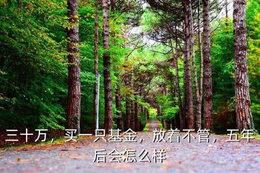 三十萬，買一只基金，放著不管，五年后會怎么樣