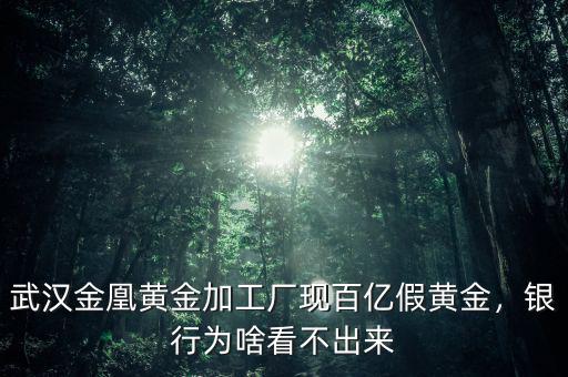 武漢金凰黃金加工廠現百億假黃金，銀行為啥看不出來