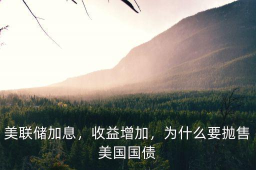 美聯儲加息，收益增加，為什么要拋售美國國債
