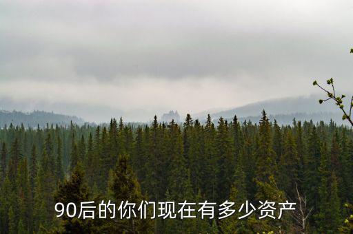 90后的你們現在有多少資產