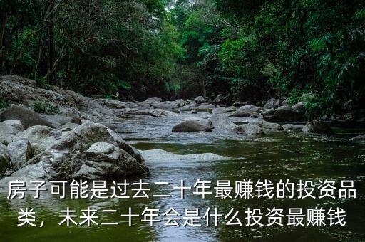 房子可能是過去二十年最賺錢的投資品類，未來二十年會是什么投資最賺錢