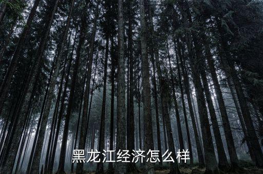 黑龍江經濟怎么樣