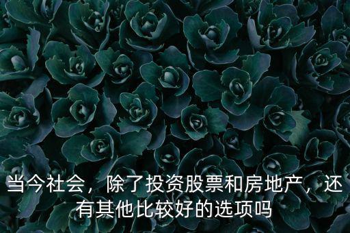 當今社會，除了投資股票和房地產，還有其他比較好的選項嗎