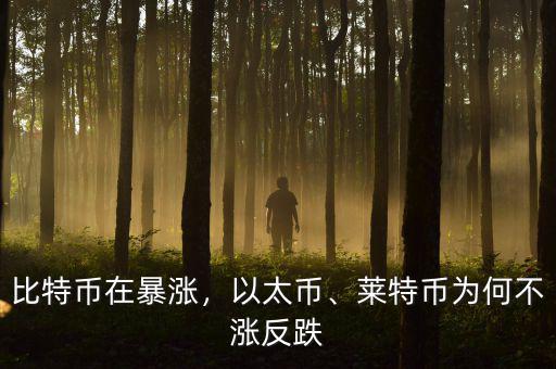 比特幣在暴漲，以太幣、萊特幣為何不漲反跌