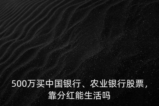 500萬買中國銀行、農業銀行股票，靠分紅能生活嗎
