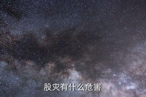 股災發生時我在想什么,股災有什么危害