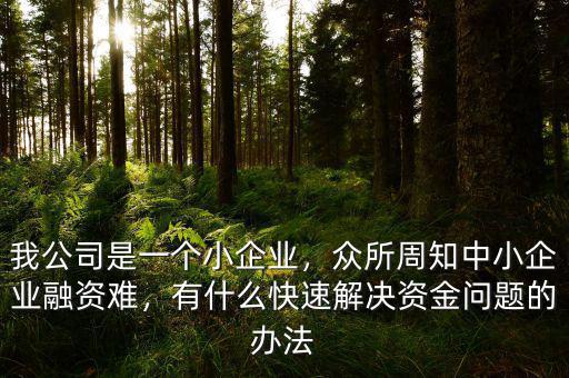 國外是怎么解決中小企業融資難問題,中小企業融資難