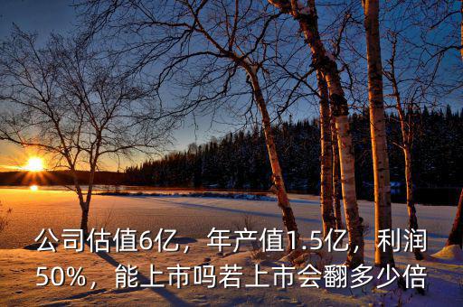 公司估值6億，年產(chǎn)值1.5億，利潤(rùn)50%，能上市嗎若上市會(huì)翻多少倍