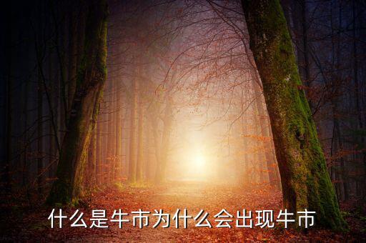 什么是牛市為什么會出現牛市