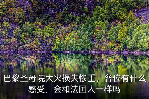 巴黎圣母院大火損失慘重，各位有什么感受，會和法國人一樣嗎
