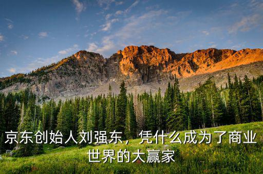 劉強東為什么創業,京東創始人劉強東