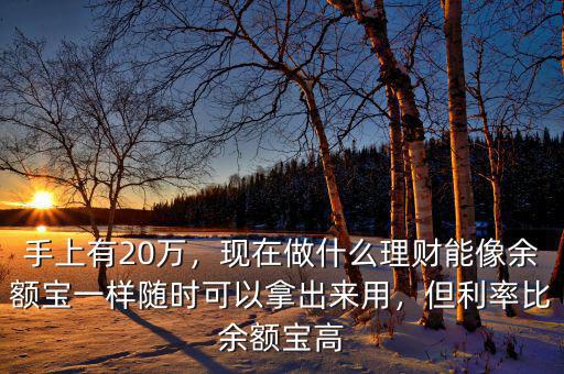 手上有20萬，現在做什么理財能像余額寶一樣隨時可以拿出來用，但利率比余額寶高