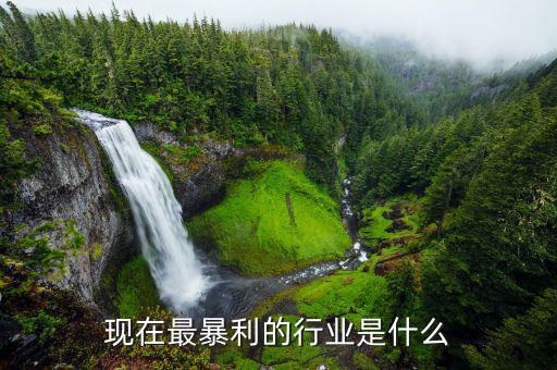 國內什么行業最暴利,或者什么行業最暴利