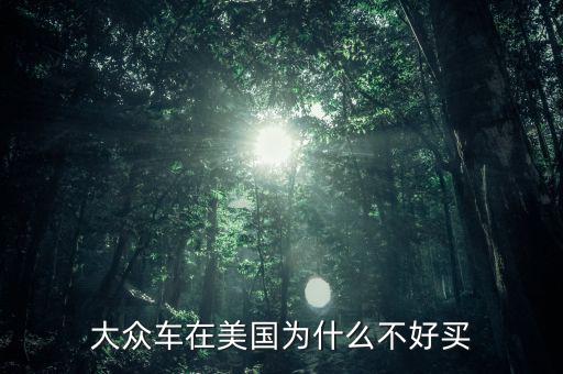 美國為什么調查大眾,大眾車在美國為什么不好買