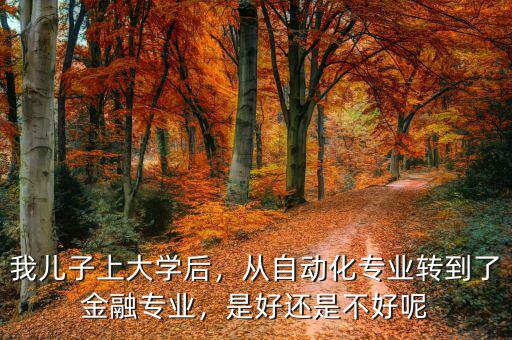 自動化轉金融怎么樣,從自動化專業轉到了金融專業