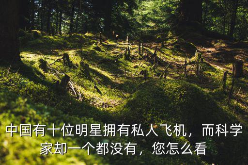 中國有十位明星擁有私人飛機，而科學家卻一個都沒有，您怎么看