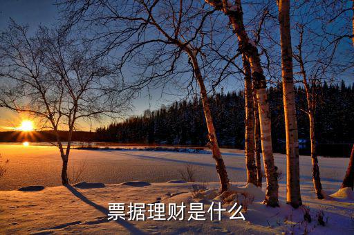 票據理財是什么