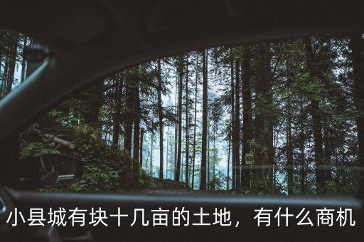 小縣城有塊十幾畝的土地，有什么商機(jī)