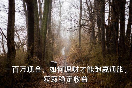 一百萬(wàn)現(xiàn)金，如何理財(cái)才能跑贏通脹，獲取穩(wěn)定收益