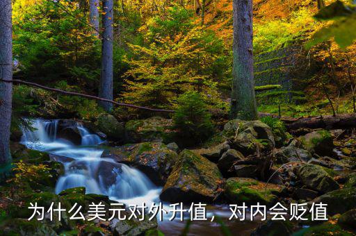 為什么美元對外升值，對內會貶值