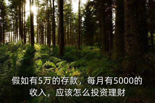 假如有5萬的存款，每月有5000的收入，應該怎么投資理財