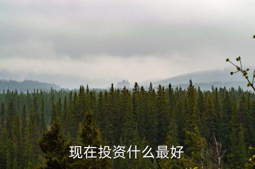 現在投資什么最好