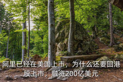 阿里已經在美國上市，為什么還要回港股上市，融資200億美元