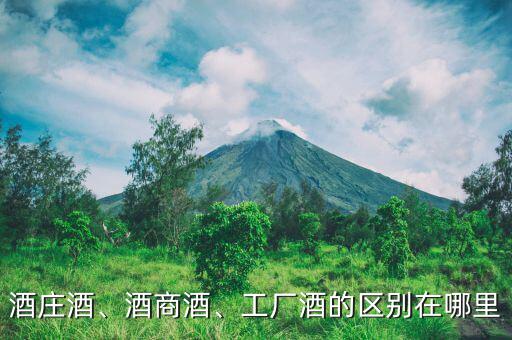 酒莊酒、酒商酒、工廠酒的區別在哪里