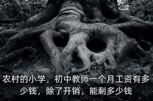 農村的小學，初中教師一個月工資有多少錢，除了開銷，能剩多少錢