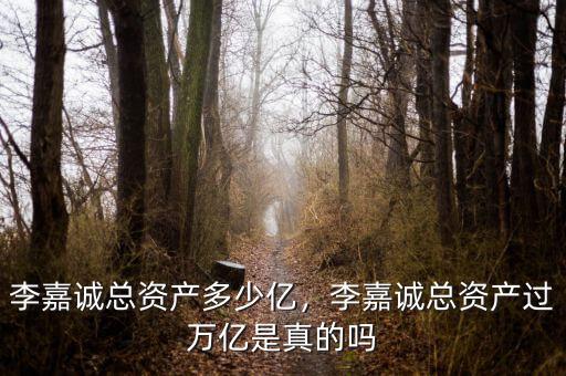 李嘉誠總資產多少億，李嘉誠總資產過萬億是真的嗎