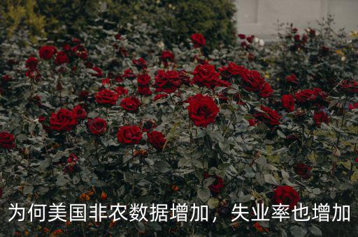 失業率為什么會增加,失業率也增加
