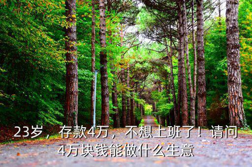 4萬元能做什么,能做點什么副業賺錢啊