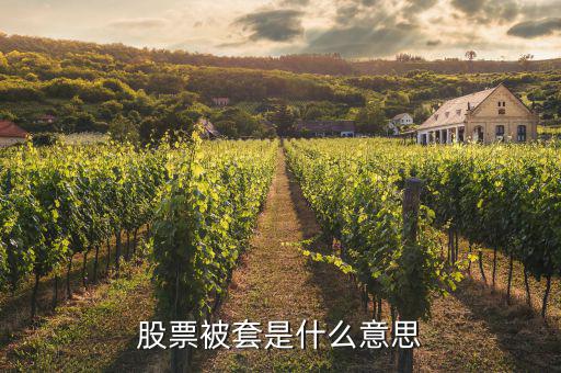莊家被套了是什么圖形,如何區分莊家籌碼被套了