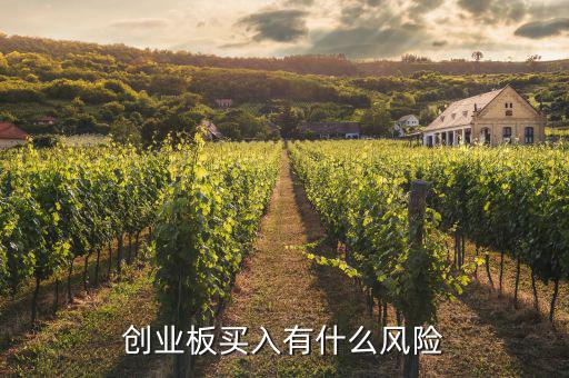 創業板股票為什么風險大,買創業板股票風險很大嗎