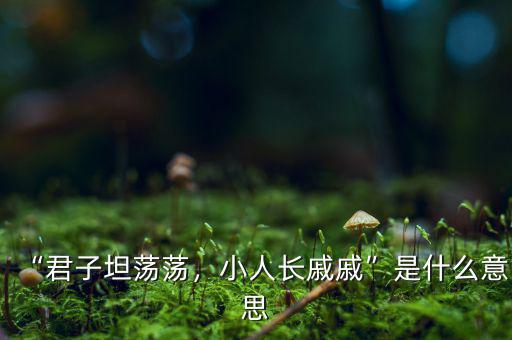 中國長是什么意思,監獄長是什么級別