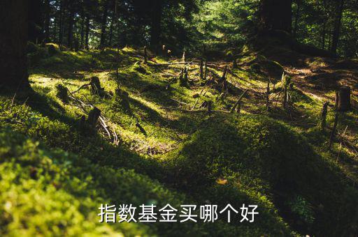 指數基金買哪個好