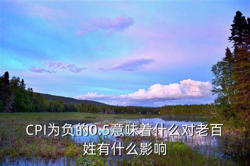 ppi負增長有什么影響,人口負增長會有哪些優缺點