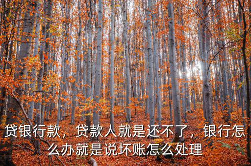 貸銀行款，貸款人就是還不了，銀行怎么辦就是說壞賬怎么處理