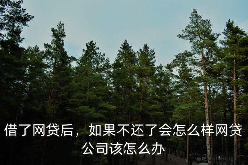借了網(wǎng)貸后，如果不還了會(huì)怎么樣網(wǎng)貸公司該怎么辦