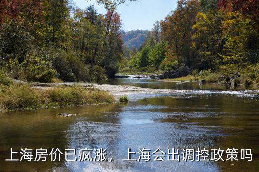 上海怎么調控房價,上海房價如何發展