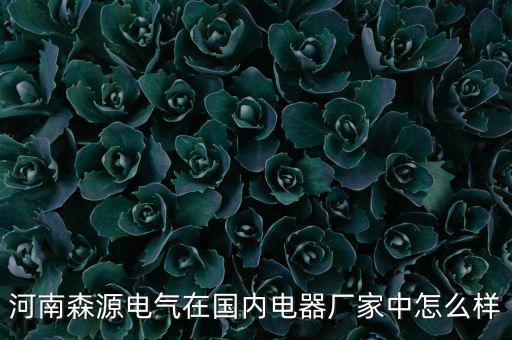 河南森源電氣在國內電器廠家中怎么樣