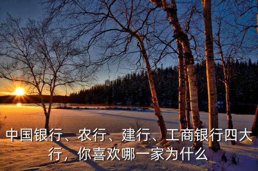 中國銀行、農(nóng)行、建行、工商銀行四大行，你喜歡哪一家為什么